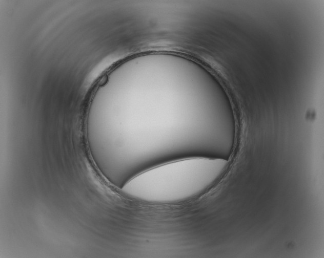 X0000112101458200908041101
