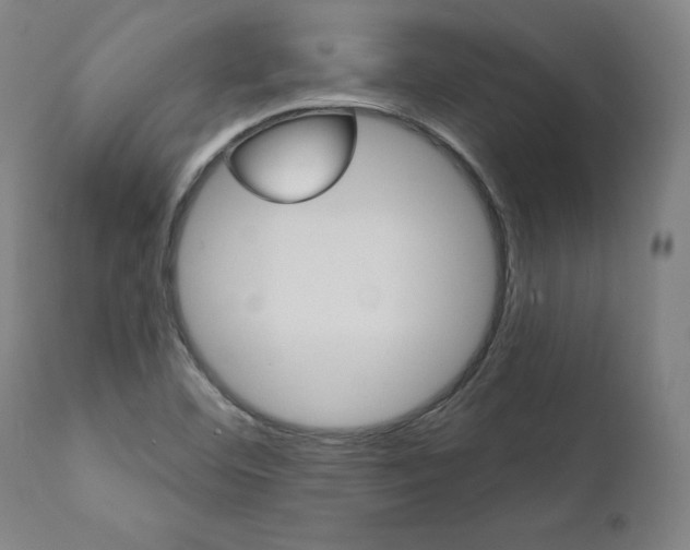 X0000112101460200908041101