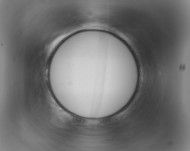 X0000112101462200908041101