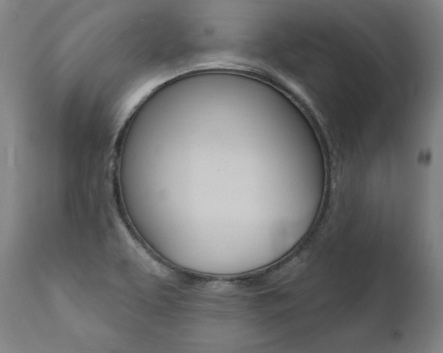 X0000112101463200908041101