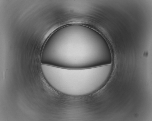 X0000112101465200908041101
