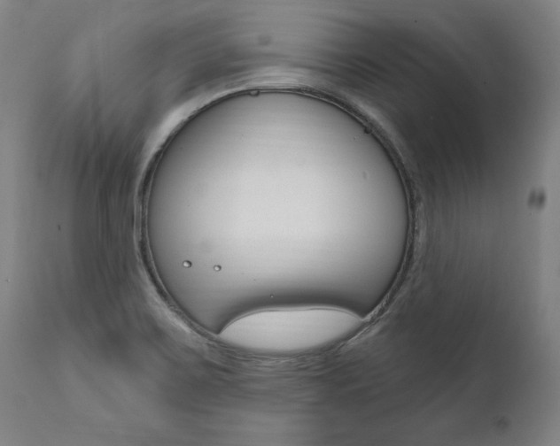 X0000112101467200908041101