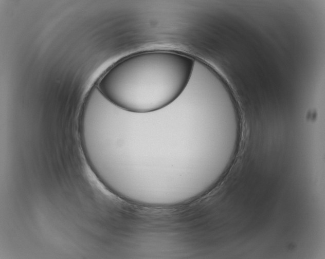 X0000112101468200908041101