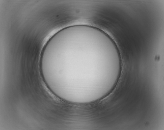 X0000112101469200908041101