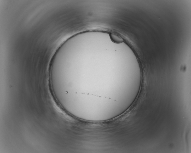X0000112101471200908041101
