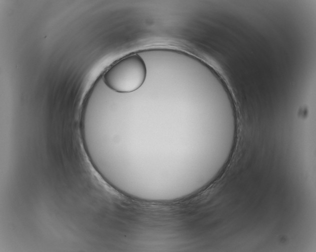 X0000112101472200908041101