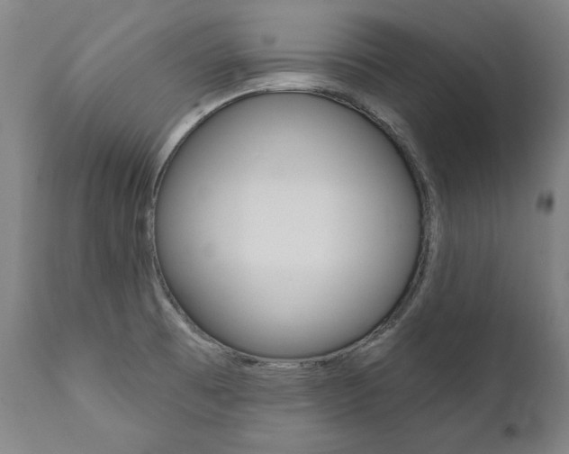 X0000112101473200908041101