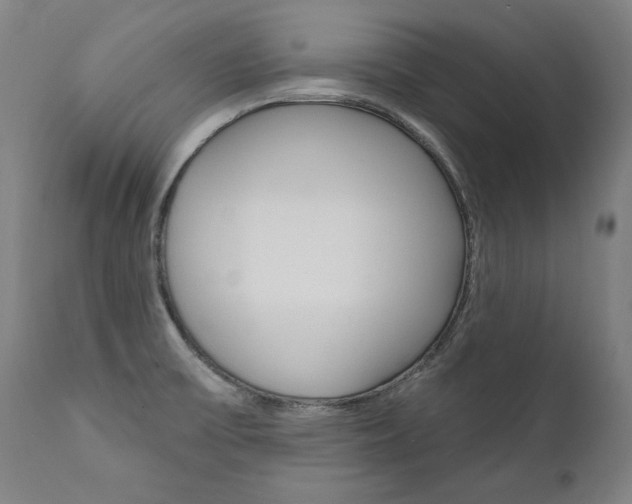 X0000112101475200908041101