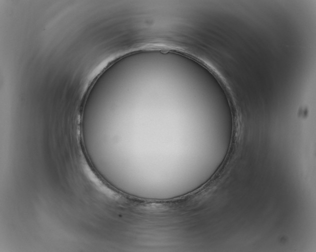 X0000112101476200908041101