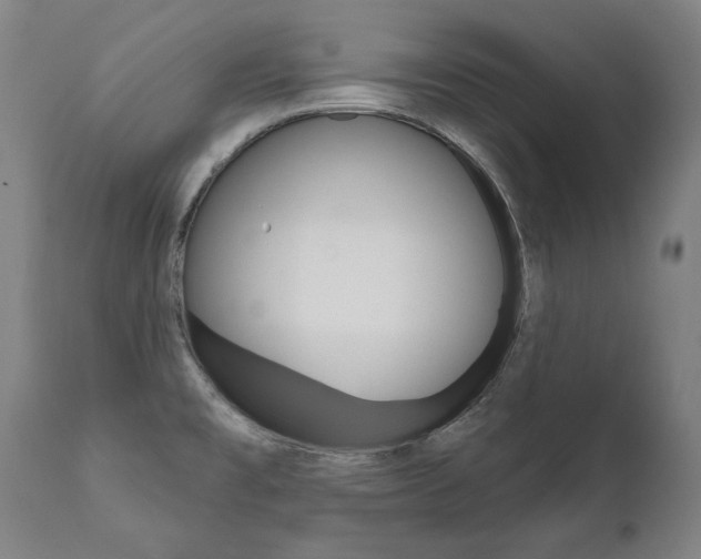 X0000112101477200908041101