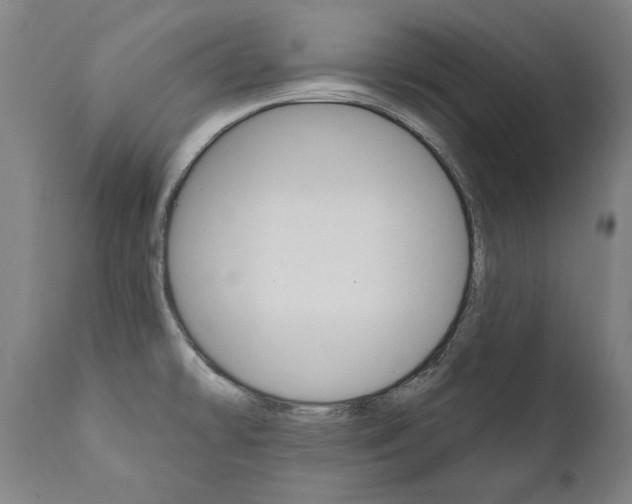 X0000112101478200908041101