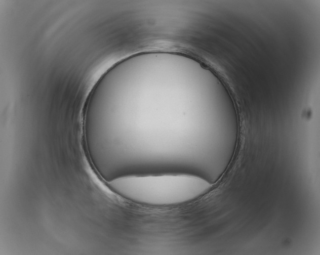 X0000112101479200908041101