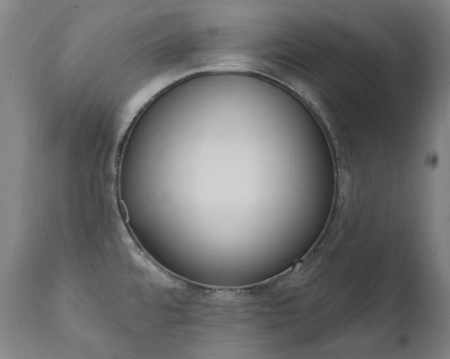 X0000112101480200908041101