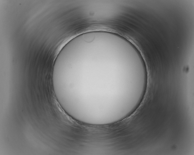 X0000112101481200908041101