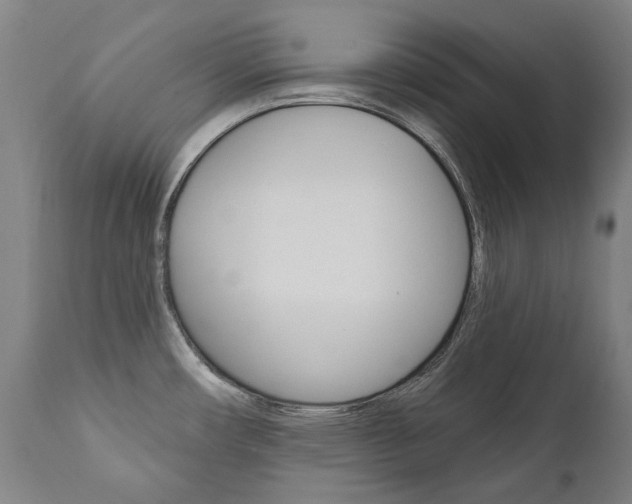 X0000112101482200908041101