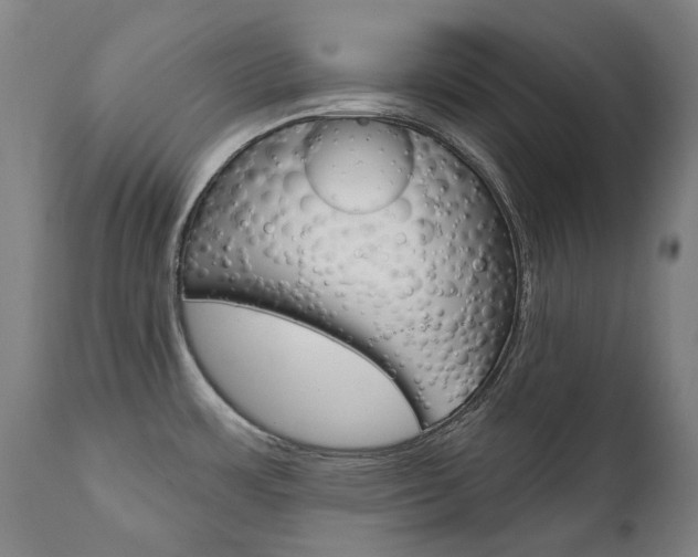 X0000112101483200908041101