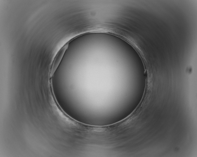 X0000112101484200908041101
