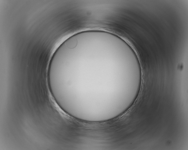 X0000112101485200908041101