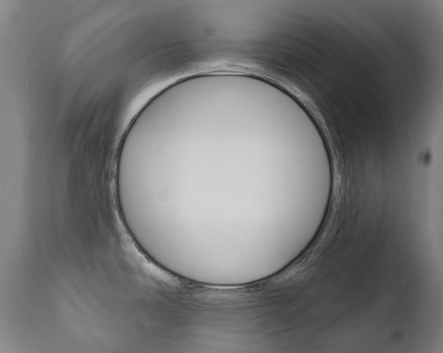X0000112101486200908041101
