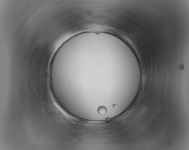X0000112101487200908041101