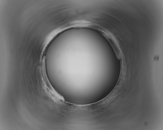 X0000112101488200908041101