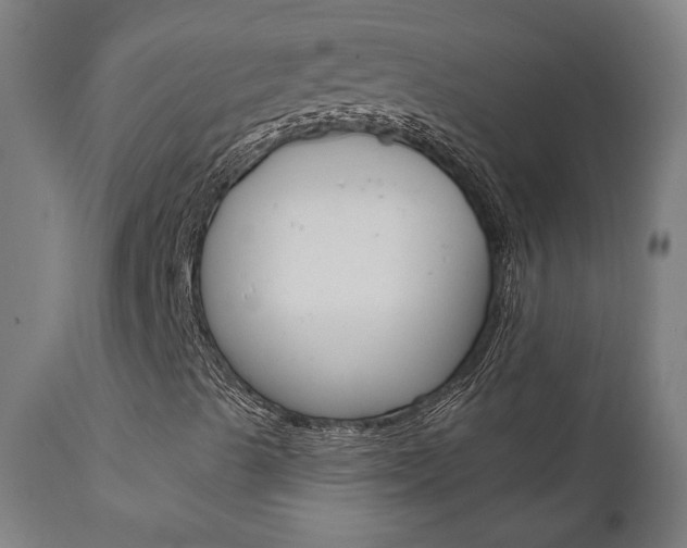X0000112101489200908041100