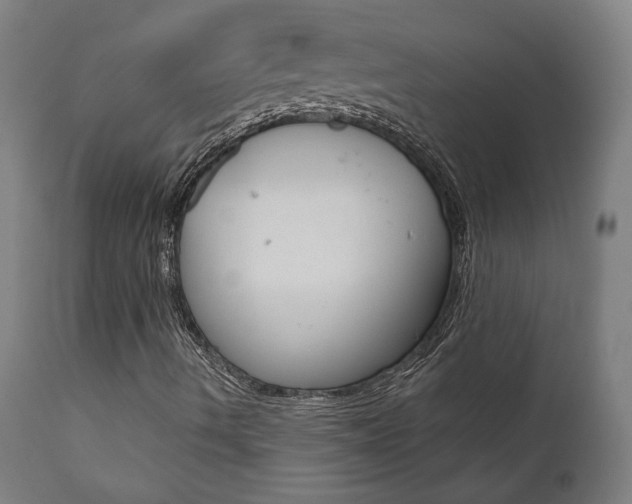 X0000112101490200908041100
