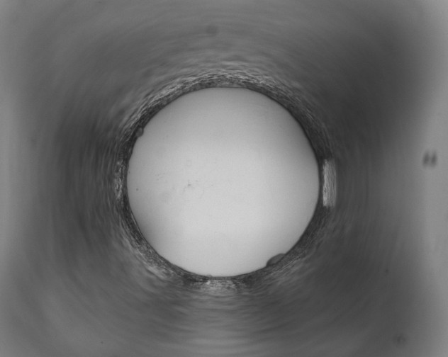 X0000112101491200908041100