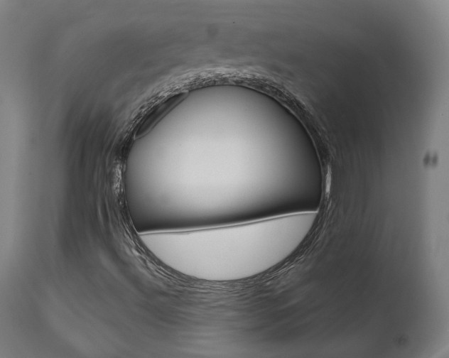 X0000112101492200908041100