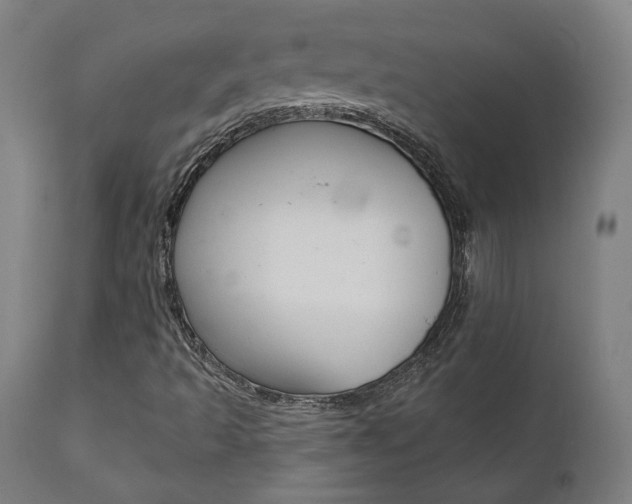 X0000112101493200908041100
