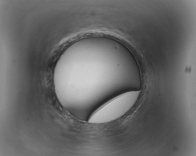 X0000112101494200908041100