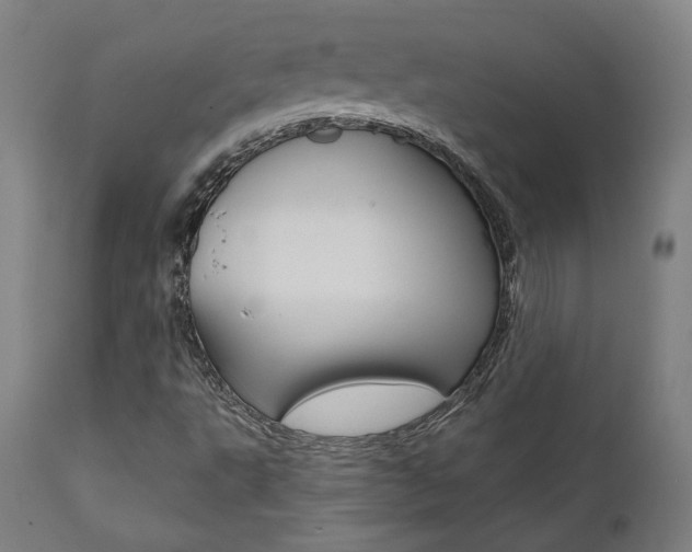 X0000112101495200908041100