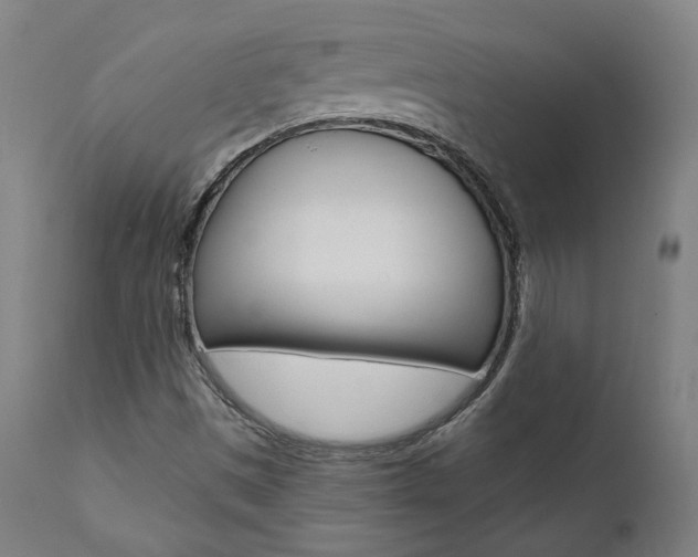 X0000112101497200908041100