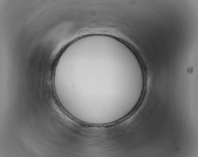 X0000112101498200908041100