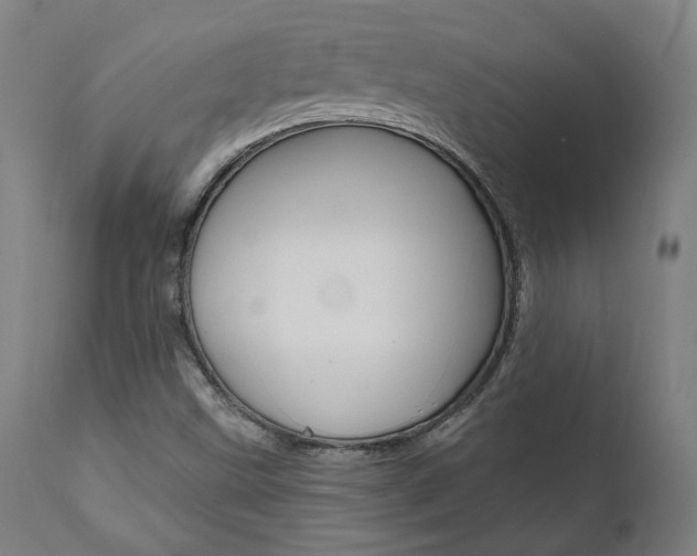 X0000112101499200908041100