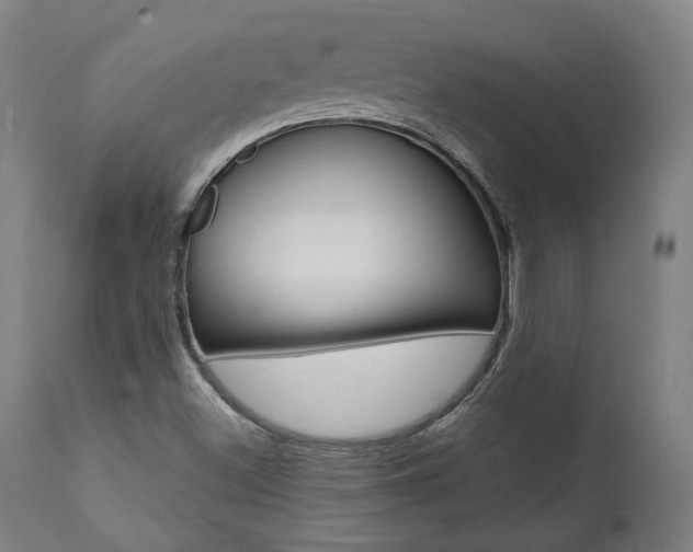 X0000112101500200908041100