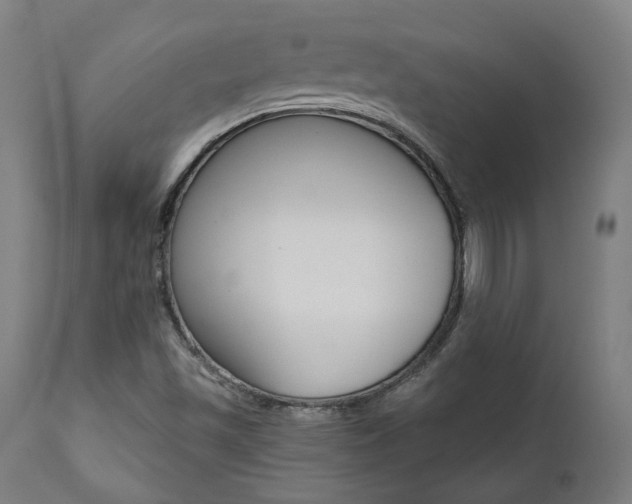 X0000112101501200908041100