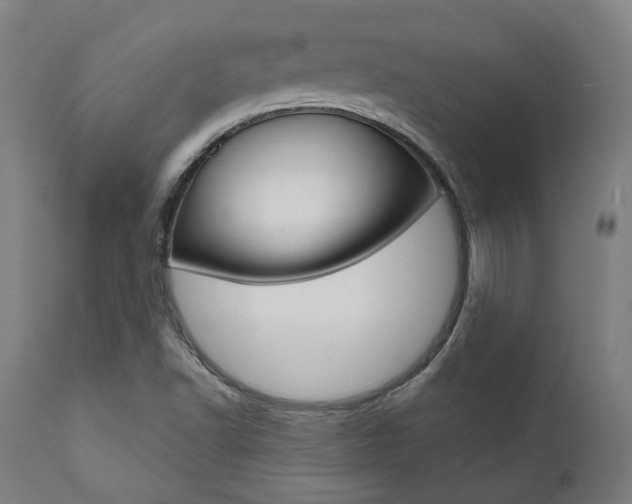 X0000112101502200908041100