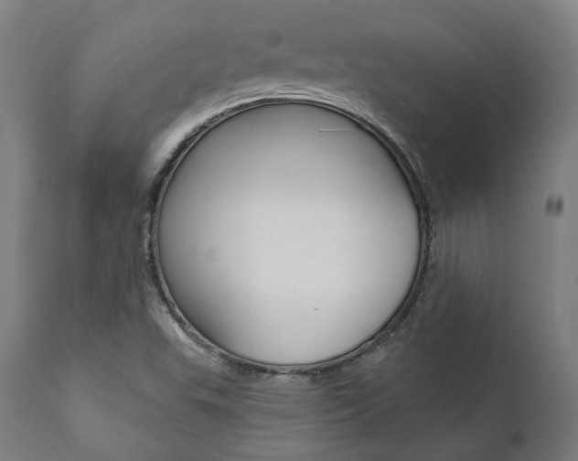X0000112101503200908041100