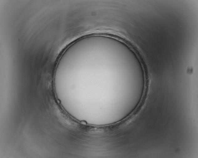 X0000112101505200908041100