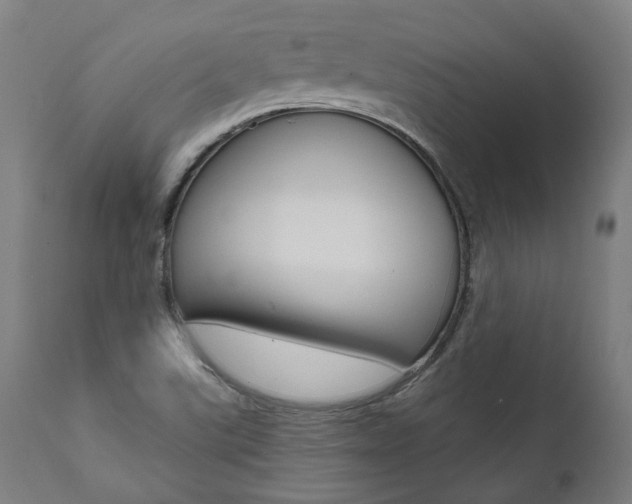 X0000112101507200908041100