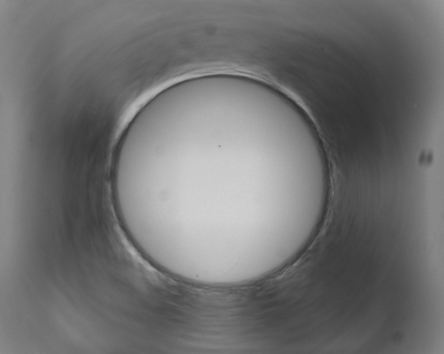 X0000112101508200908041100