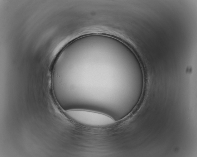 X0000112101509200908041100