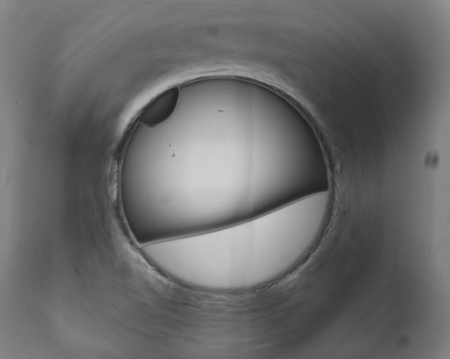 X0000112101510200908041100