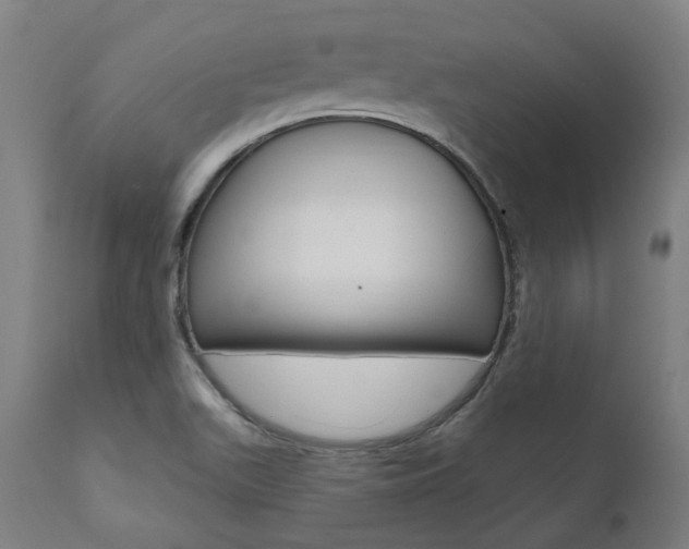 X0000112101511200908041100