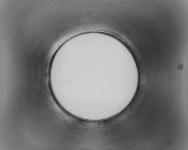 X0000112101512200908041100