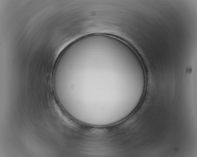 X0000112101513200908041100