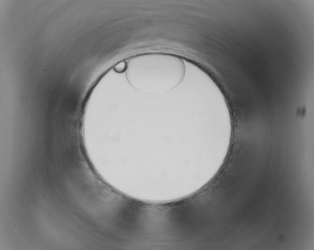 X0000112101514200908041100