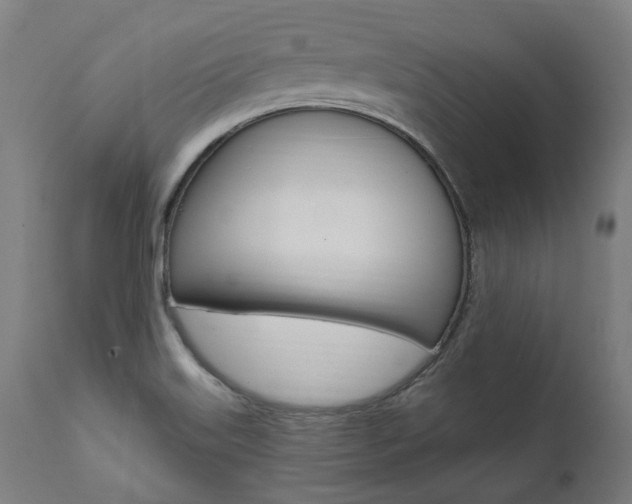 X0000112101515200908041100
