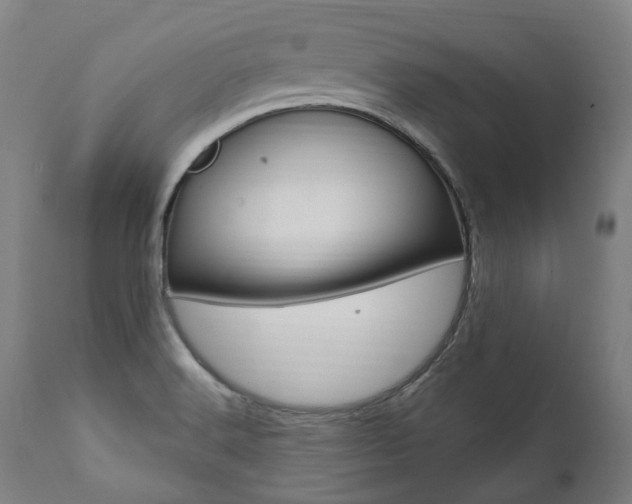 X0000112101516200908041100